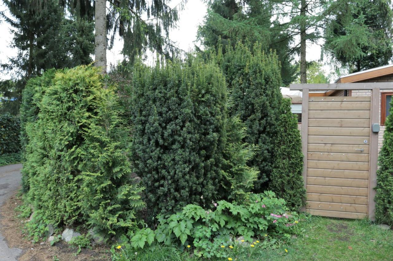 Veluwehuisje Speulderbos Villa Putten Bagian luar foto